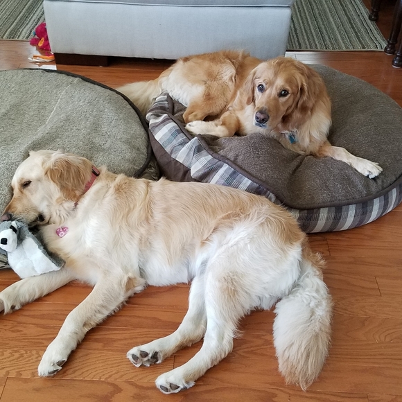 Meet your Posher, Perfectlaunch. - Picture 2 of 2